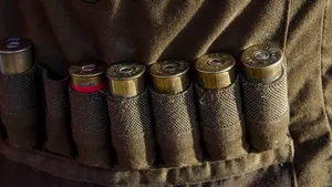 Olanda va cumpăra arme americane pentru Ucraina în valoare de 250 de milioane de euro