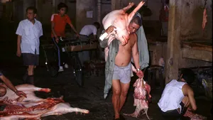 Cum arată pieţele ilegale de unde s-a răspândit virusul din Wuhan. Decizia luată de guvernul chinez