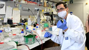 Ficatul gras non-alcoolic te expune bolii provocate de coronavirus. Rezultatele studiului vizează aproape 2 miliarde de oameni