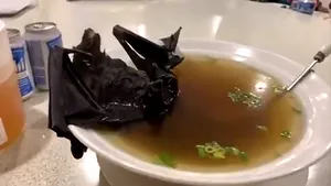 Coronavirusul din Wuhan. Imagini cu asiatici mâncând supă de liliac au declanşat polemici pe reţelele de socializare. VIDEO