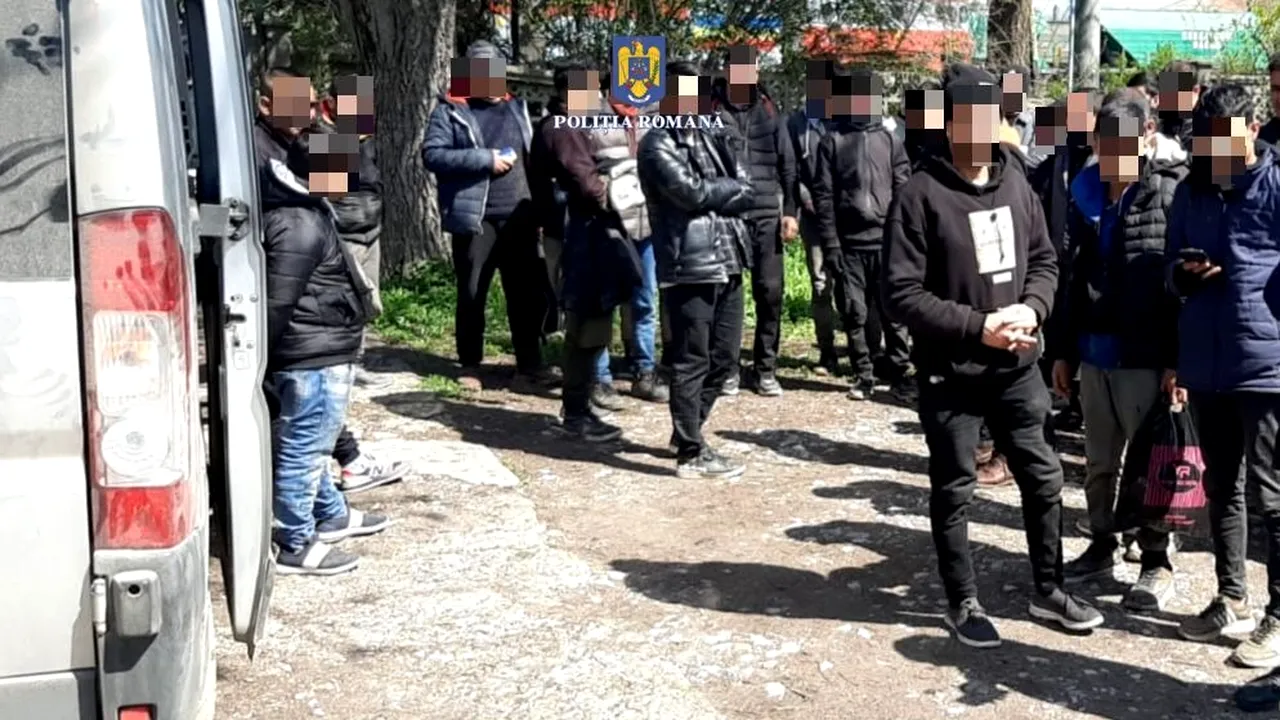 Doi bulgari, călăuze pentru 30 de migranţi, prinşi şi reţinuţi în Ilfov