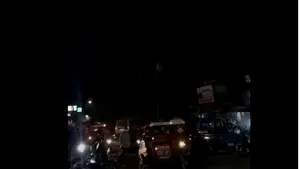 Un şarpe imens, încolăcit pe un cablu de electricitate, a creat panică într-un oraş. Video viral 