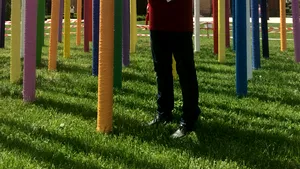 Creatorul “Pădurii Paradisului” aduce „Manifestul” împotriva poluării şi a defrişărilor la Mogoşoaia | GALERIE FOTO