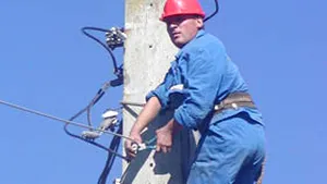 Bistriţa-Năsăud: 11 localităţi fără curent electric din cauza vântului şi a ploilor