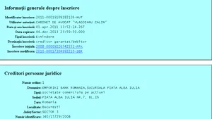 EXCLUSIV: Butoane, girant într-un contract de împrumut pentru firma ginerelui senatorului Măgureanu