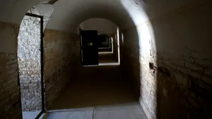 ISTORIA FĂRĂ PERDEA Marius Oprea / De la martiririzarea populaţiei României sub comunism, la moartea prin tortură, la Securitate