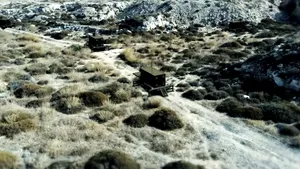 MONITORUL APĂRĂRII | Israelul a dezvoltat un sistem antiaerian cu rază laser care poate doborî avioane şi rachete | VIDEO