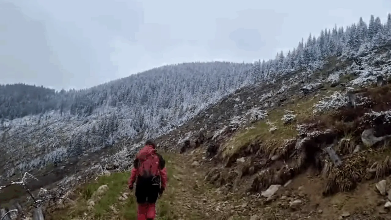 „Simplu... fără alte cuvinte