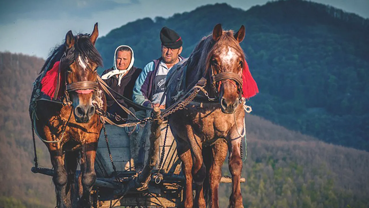 Prima bază de date din România despre populaţia Transilvaniei, începând cu 1850, finalizată. Transilvănenii vor putea să-şi găsească strămoşii 
