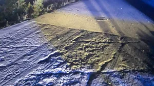 Accident mortal în Cuj: Un mort şi doi răniţi, după ce un microbuz cu pasageri din Republica Moldova s-a izbit de un stâlp - FOTO