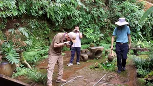 Fosilă de dinozaur extrem de bine conservată, de 200 de milioane de ani, descoperită în Brazilia