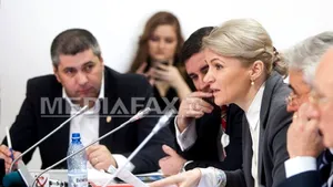 Disputele continuă la comisiile de buget. Andreea Paul şi Cosmin Nicula, nou schimb de replici