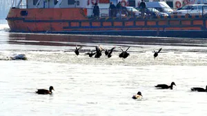 O nouă linie de feribot între Bulgaria şi România, din octombrie