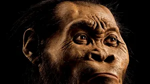 O nouă specie de hominid, descoperită în Africa - GALERIE FOTO