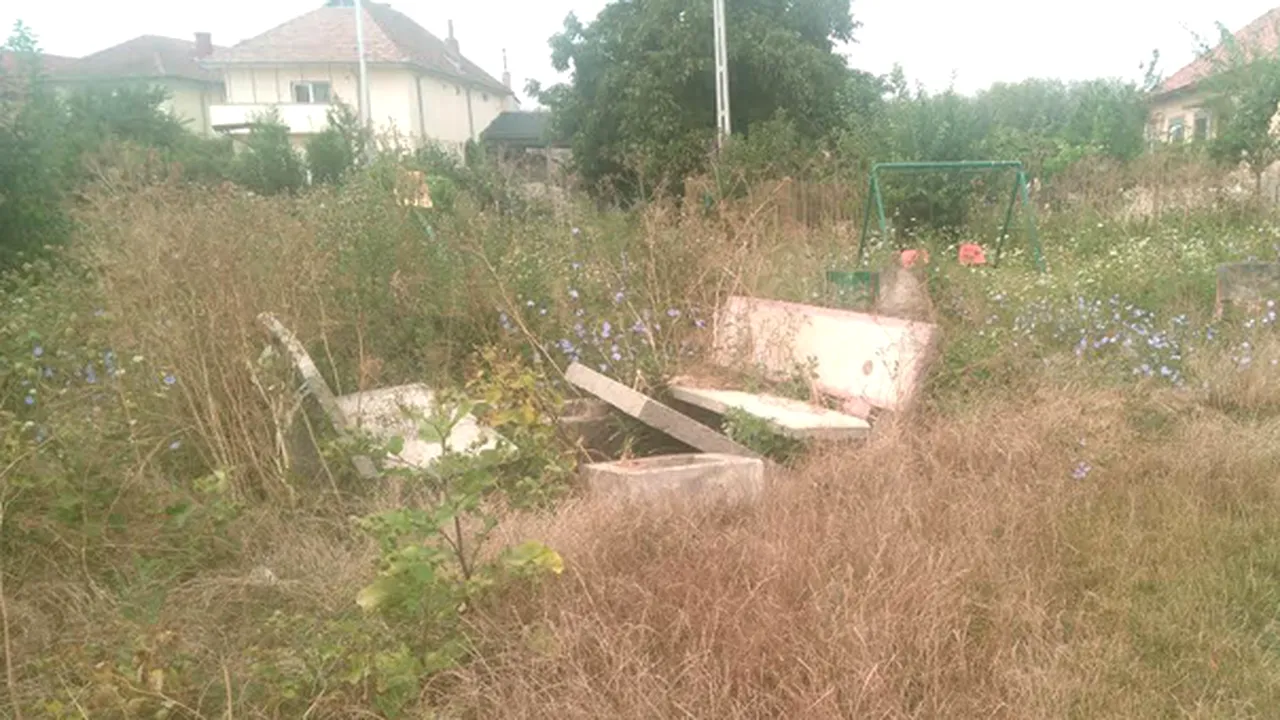 FOCUS: Zeci de elevi din Dolj merg la şcoli cu WC-ul în curte. 