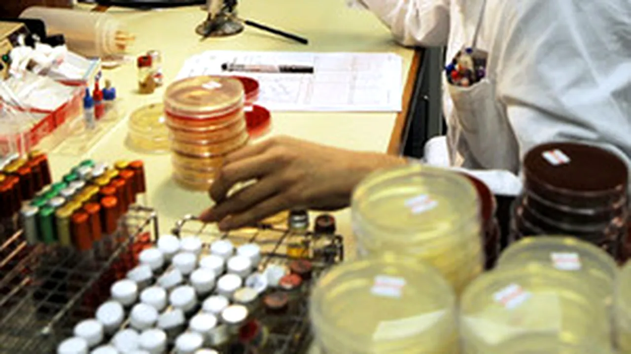 Romania Confirms Three New Cases Of AH1N1 Flu, Toll Reaches 44