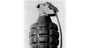 Timiş: Douăzeci de grenade în seiful unei primării
