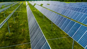 Greenpeace: Primăriile, ONG-urile și întreprinderile mici vor putea curând să beneficieze de energie regenerabilă