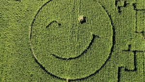 Care sunt cele mai politicoase țări din lume? Europa domină clasamentul global