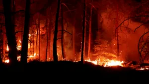 Canicula agravează incendiul de lângă Paris. Franța recurge la o intervenție în premieră