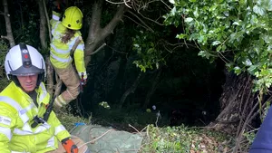 O pisică neagră a făcut un gest surprinzător. Cum a reuşit felina să îşi salveze stăpâna