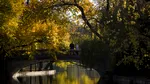 Cum va fi vremea în următoarele patru săptămâni. Prognoza ANM