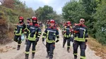 Pompierii români sting noi incendii de pădure în Spania