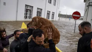 Liderii portughezi sfidează inundațiile și extrema dreaptă pentru a organiza duminică turul doi al alegerilor prezidențiale