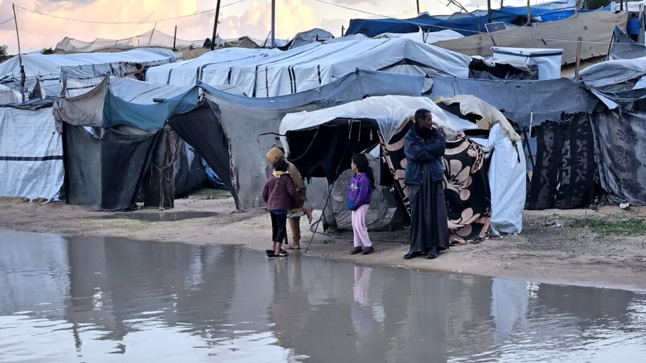 Linia a doua a frontului din Gaza / Șobolani cât iepurii nu se sfiesc să muște din oameni