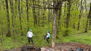 Curăţenia de Paşte în pădurea Lucianca 