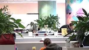 Investitorii cer ajutorul statului: Avem zone critice în economie. Degeaba ne punem la adăpost dacă nu o să avem mâncare şi medicamente