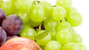 Cioloş: CE propune dublarea contingentelor de export pentru mere, prune şi struguri din Republica Moldova