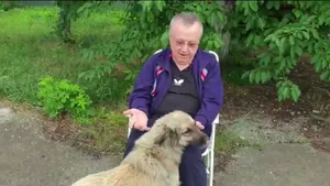 Lecţia lui Cristoiu pentru câinele său: Ce bine ar fi dacă în politică ar fi linsul ăsta pe mână. Dl. Iohannis te-ar pune prim-ministru