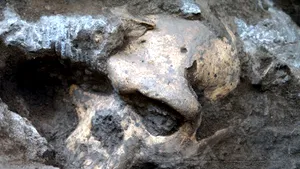 A fost descoperit craniul unei femei, ce avea o formă bizară - FOTO