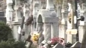 Trupul avocatei dispărute, căutat printr-un cimitir din Braşov