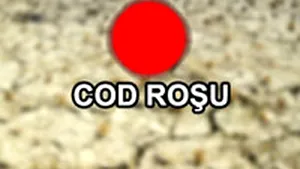 COD ROŞU - PRO TV/MEDIAFAX