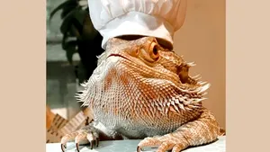 Şopârla influencer: Lenny a devenit celebru pe Instagram şi „a publicat” chiar şi o carte