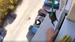 Descoperire neobişnuită în Pipera. Zeci de lilieci, găsiţi în spatele unui aparat de aer condiţionat. VIDEO