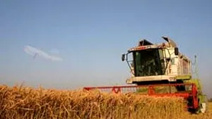 Romanian Agriculture Four Times Less Insured Than EU Avg – Ministry Official