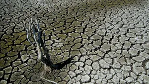 Zece judeţe vor avea soluri aride din cauza încălzirii globale