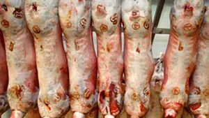 Carnea de porc cu dioxină afectează sănătatea doar dacă este consumată continuu
