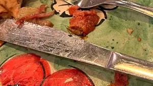 Gândac de bucătărie într-o pizza dintr-un restaurant din Amsterdam