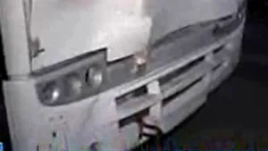 Dâmboviţa: Accident rutier în lanţ, provocat de un cal nesupravegheat