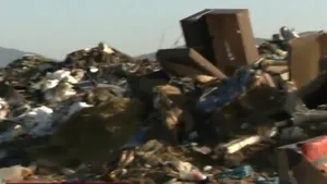 Autoritățile bulgare investighează un posibil import ilegal de animale din România / Abator ilegal descoperit în zona Ihtiman