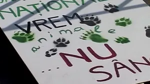 Protest în faţa Parlamentului împotriva proiectului legii vânătorii