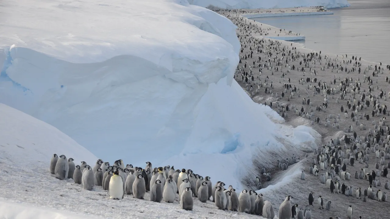 Există un continent fără COVID. Antarctica nu a înregistrat cazuri de infectare