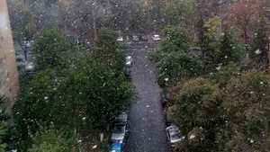 Prima ninsoare din acest sezon în Bucureşti - FOTO