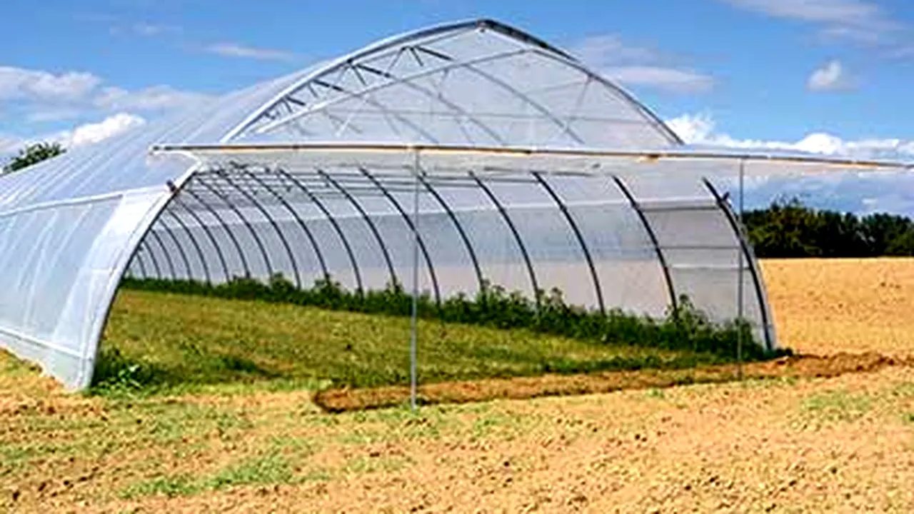 Legumicultorii cer majorarea ajutoarelor pentru solarii. Costurile pot crește cu până la 70%