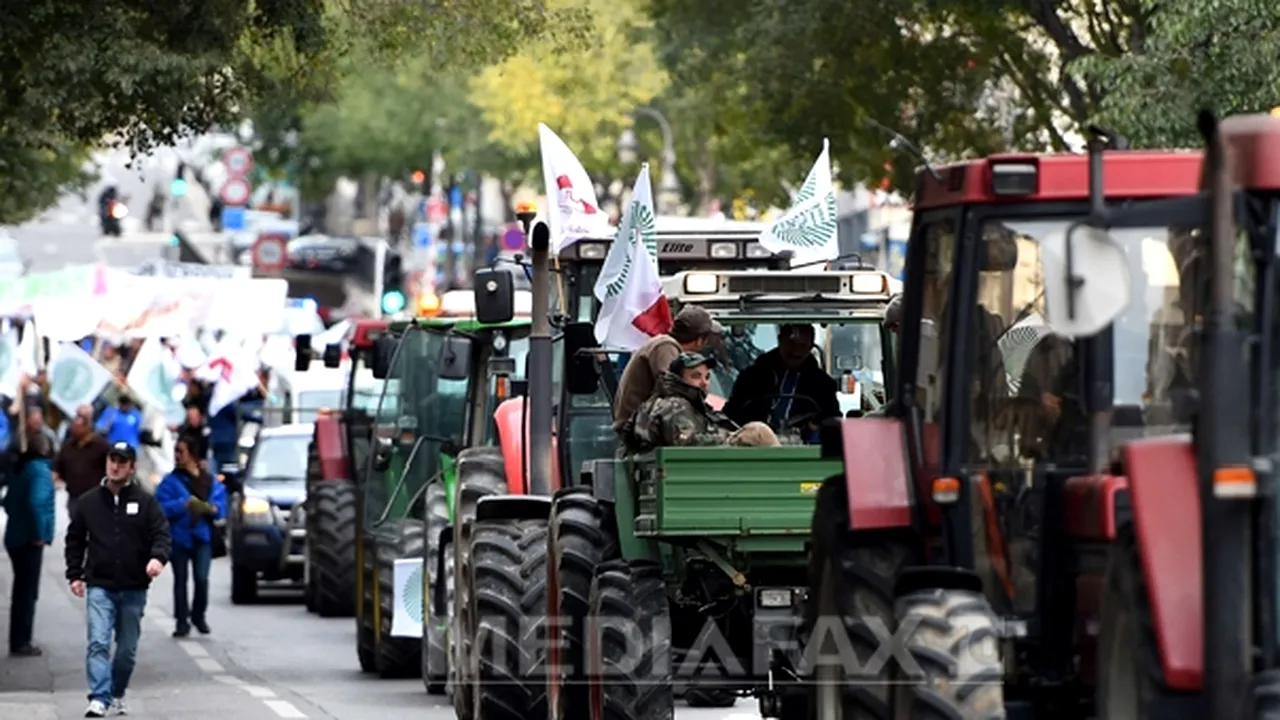 Trei sute de fermieri merg la un schimb de experienţă în Franţa şi vor susţine echipa naţională