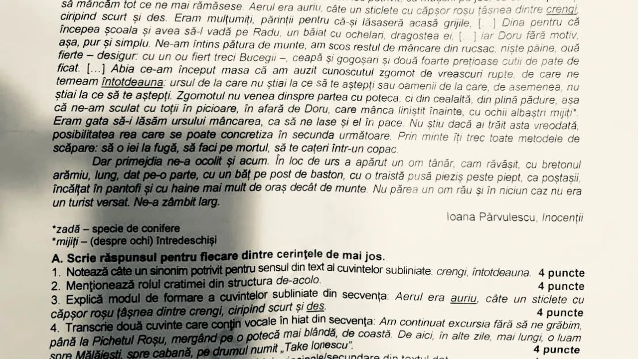 REZOLVARE SUBIECTE la Evaluarea Naţională 2018 | Profesor de română: Totul a fost accesibil/ Cum trebuiau rezolvate subiectele la limba română